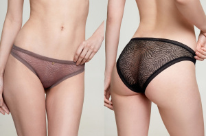 b81775cc840d5af5542bb7e81b24865e